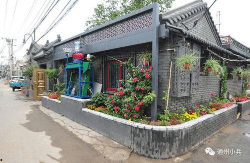 瑶新皮肤最新爆料2025,神秘爆料，揭开瑶仙子的全新蜕变